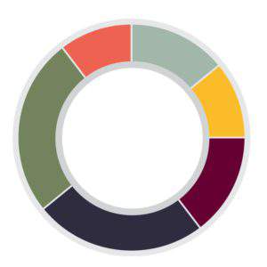 Clarity: Career Preference Profile 