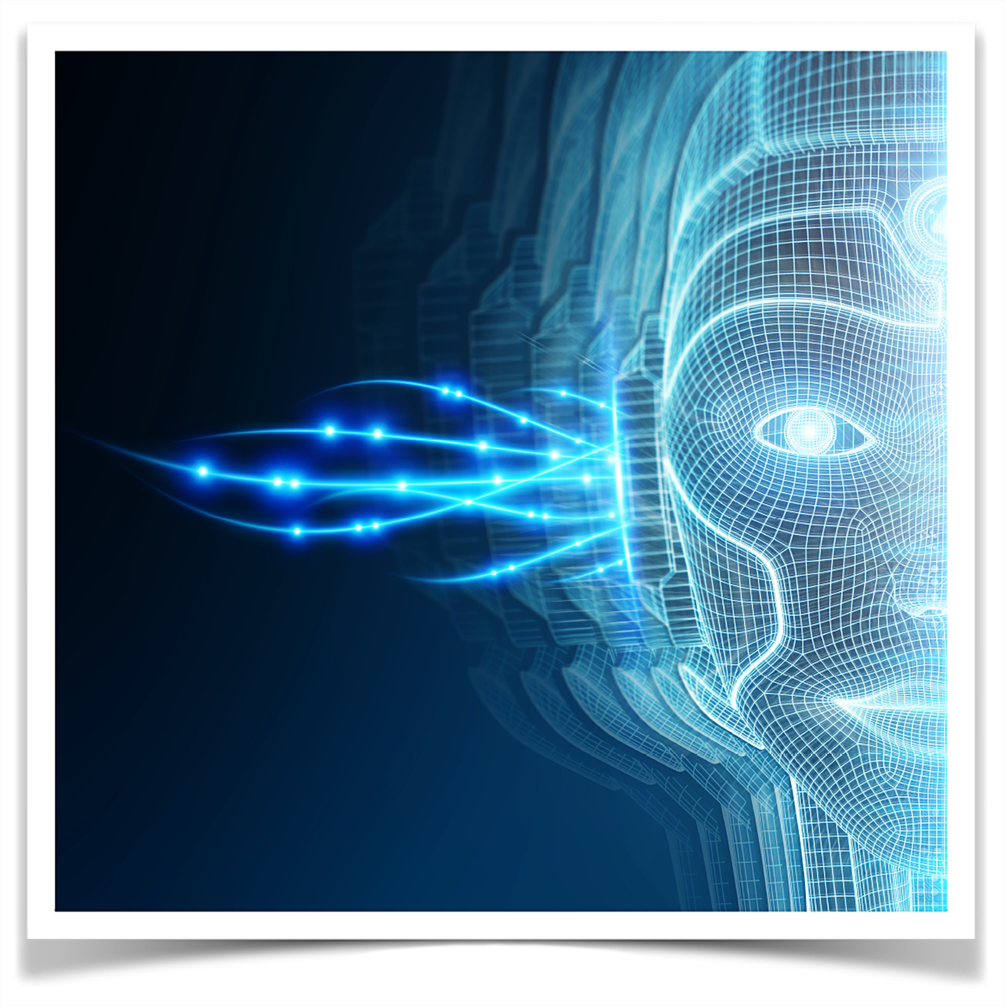 Information Technology Face